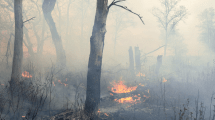 Imagen de Por qué pese a las lluvias y nevadas, el riesgo de incendios «trepará» en primavera en la región de Bariloche