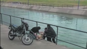 Video: Policías salvaron a un perro de morir ahogado en el Canal Grande, de Roca