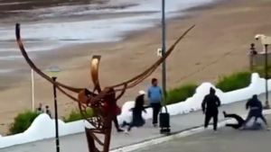 Video: pelea en vivo en el amanecer de Las Grutas, con cuatro detenidos