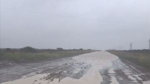 Quedaron bajo agua en algunos campos de Patagones