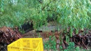 La tormenta provocó un corte de luz en un amplio sector de Roca