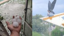 Imagen de El granizo en Mendoza causó estragos y no se salvó ni el cóndor