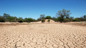 Cambio climático: el agua se está alejando de las regiones secas haciendo que las sequías empeoren