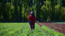 Imagen de 8M: Tres historias de mujeres que luchan en y por sus territorios en Río Negro y Neuquén