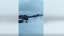 Imagen de Video: llegaron las primeras nevadas del año en San Martín de los Andes y Pehuenia