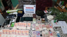 Imagen de Secuestraron 85 plantas de marihuana en allanamientos en el Alto Valle