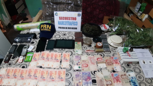 Secuestraron 85 plantas de marihuana en allanamientos en el Alto Valle