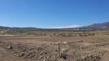 Imagen de Así avanza la obra de El Alamito, el primer parque solar de Neuquén