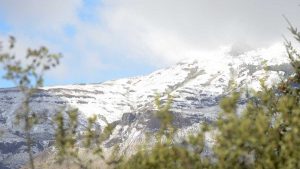 Pronóstico: llegan las temperaturas bajo cero a la región este miércoles