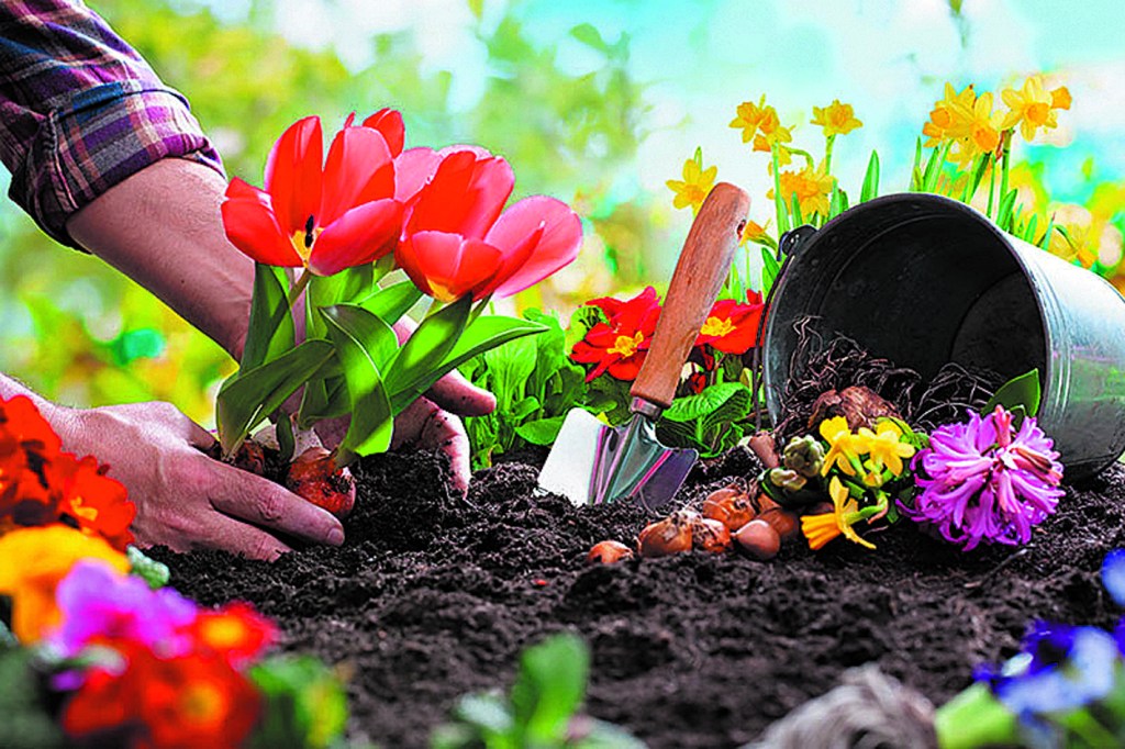 Jardín: marzo, el mes para renovar con flores y mucho color