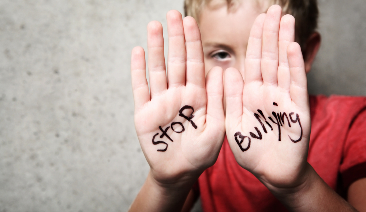 Iniciar conversaciones sobre el bullying puede ser un tema difícil, que al generar algún desconcierto también puede llevar a postergar la charla.