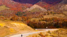 Imagen de Cicloturismo a toda marcha: el otoño sobre dos ruedas en San Martín de los Andes