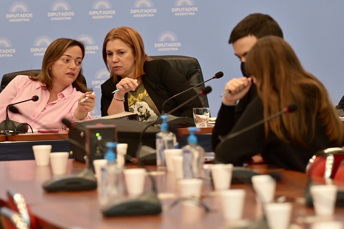 La diputada oficialista Cecilia Moreau es la titular de la Comisión de Legislación General. Foto Télam. 