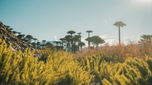 Imagen de Copahue Caviahue en Semana Santa: paella volcánica, Termas y paseos