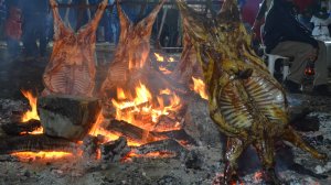 Festival del Chef Patagónico: la agenda para no perderse nada en Pehuenia, el próximo finde