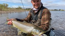 Imagen de «Muchachos, vengan que acá está la papa»: pescó 70 truchas en dos días en el Limay Medio