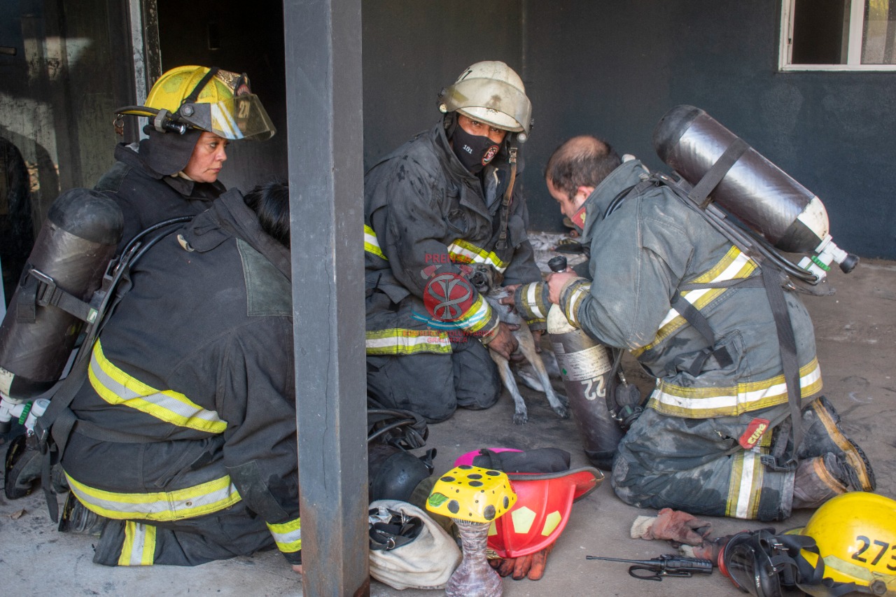 Los vecinos presenciaron emocionados el accionar de los bomberos. Foto Gentileza Bomberos 