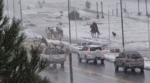 Imagen de Estado de rutas este fin de semana largo: Pino Hachado intransitable