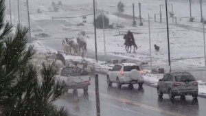 Las rutas de Neuquén afectadas por el regreso de la ola polar