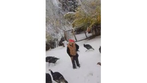 Con 90 años aún cuida de sus animales en medio de la nieve en Neuquén