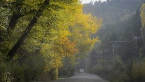 Pronóstico: ¡Lleva campera! Bajan las máximas y sigue la lluvia este lunes en la región