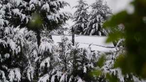 Pronostican lluvias y nevadas en la cordillera a partir del viernes