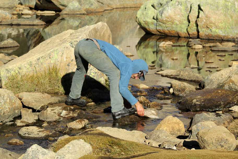 Las tareas de remediación del mallín consisten en la primera etapa en guiar la senda principal para evitar que las pisadas afecten el suelo. Foto: Gentileza