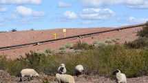 Imagen de Empresas obligadas a restaurar la tierra de Vaca Muerta, el ambicioso proyecto que impulsan en Neuquén