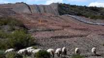 Imagen de Invierno 2023: qué pasará si el gasoducto a Vaca Muerta no está terminado