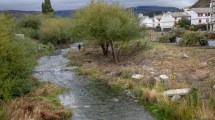 Imagen de Recuperan un paseo costero en el centro de Bariloche con la limpieza del río Ñireco