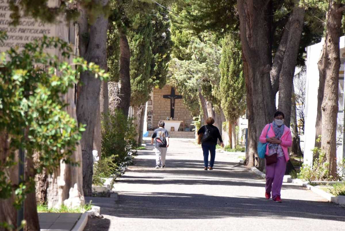 El hallazgo se produjo el 26 de abril en el cementerio central. Foto Yamil Regules.