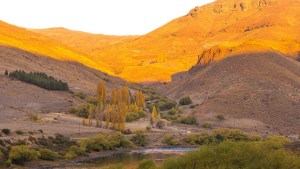 El Aluminé, postales de un río que en otoño viste su mejor color