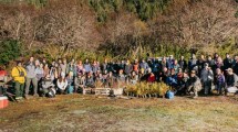 Imagen de Guardianes del paraíso: Así se plantaron en Bariloche, para recuperar el bosque quemado