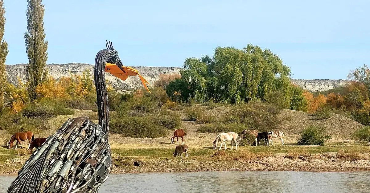 Hecha de chatarra, la garza ya quedó instalada a la vera del Río Negro.