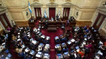 Imagen de Senado debatirá la suspensión de desalojos en barrios populares y la expropiación del predio de Cromañón