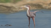 Imagen de Desde serpiente con patas a un “dinosaurito”: los asombrosos animales que habitaron en La Buitrera