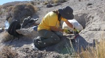 Imagen de Encontraron en cercanías de Jacobacci fósiles de mamíferos extintos hace 38 millones de años