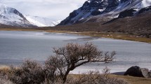 Imagen de Qué pasó con los incendios en la Cordillera de los Andes durante los últimos mil años