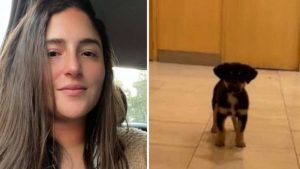 Se llevó al perrito de un indigente en Recoleta y la acusaron de «ladrona»