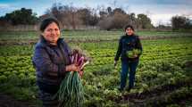 Imagen de La producción de los alimentos desde una perspectiva de género