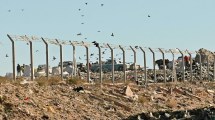 Imagen de Unas 4.500 familias tienen de vecino el basural de cinco ciudades en Neuquén