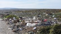 Imagen de De los basurales al gran reciclado: el cambio del Alto Valle