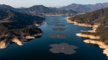 Imagen de Construyeron un impresionante parque solar flotante y con paneles en forma de flores