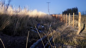 Tres robos de cables dejaron sin energía eléctrica a miles de usuarios en Regina, Godoy y Huergo