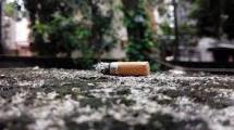 Imagen de El tabaco destroza los pulmones, pero también el medio ambiente