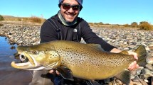 Imagen de Pescó una trucha impresionante en el Limay Medio: «Hoy rompimos el récord»