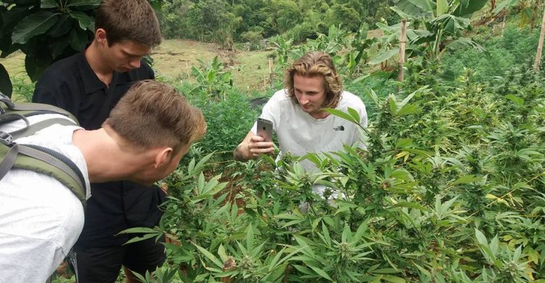 Turismo y cannabis: una propuesta de Uruguay y un nicho para «dar mecha» a  la industria