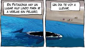 Llegaron las ballenas a Puerto Madryn y esta vez el avistaje viene con sorpresa…