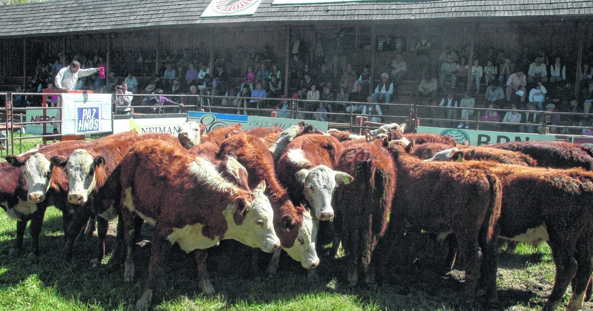 Potenciar las ferias ganaderas