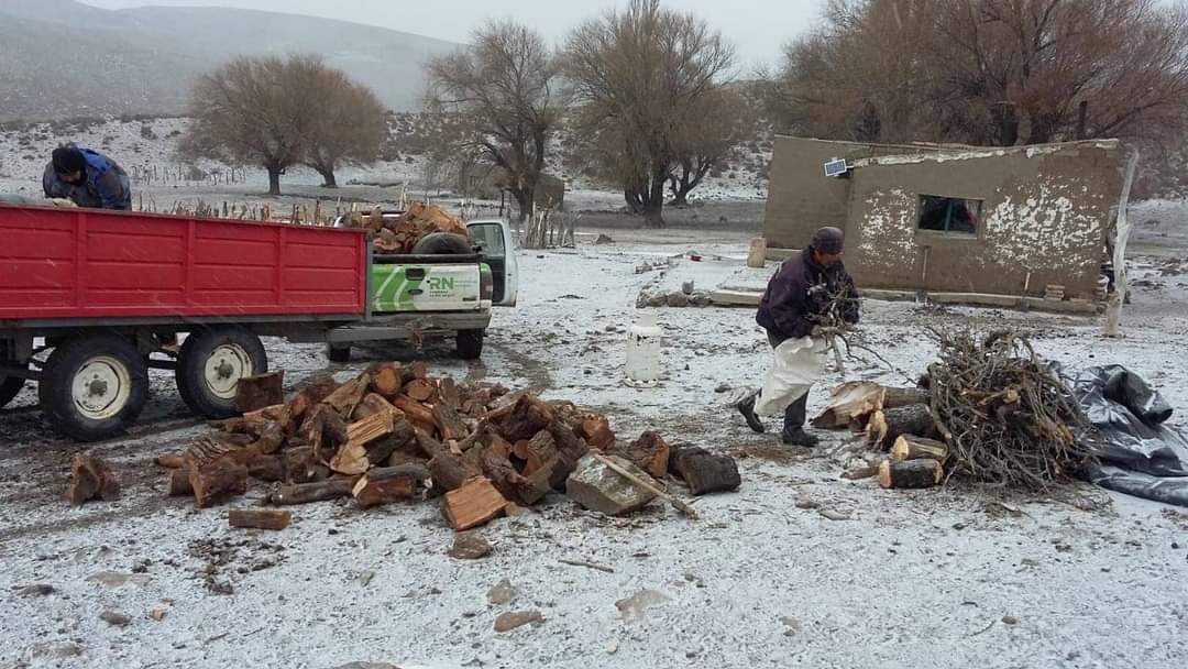 Desde hace dos meses, el gobierno distribuye leña y gas envasado en la zona rural. Foto: Gentileza. 